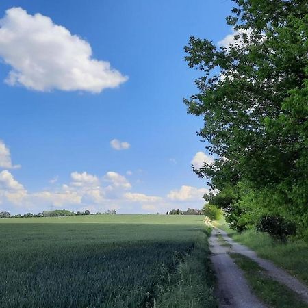 Vierseitenhof Hasenfelde - Ferienwohnung Feldblick Steinhofel Exteriör bild