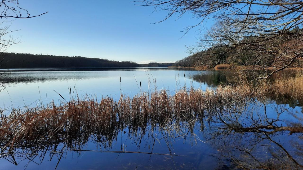 Vierseitenhof Hasenfelde - Ferienwohnung Feldblick Steinhofel Exteriör bild