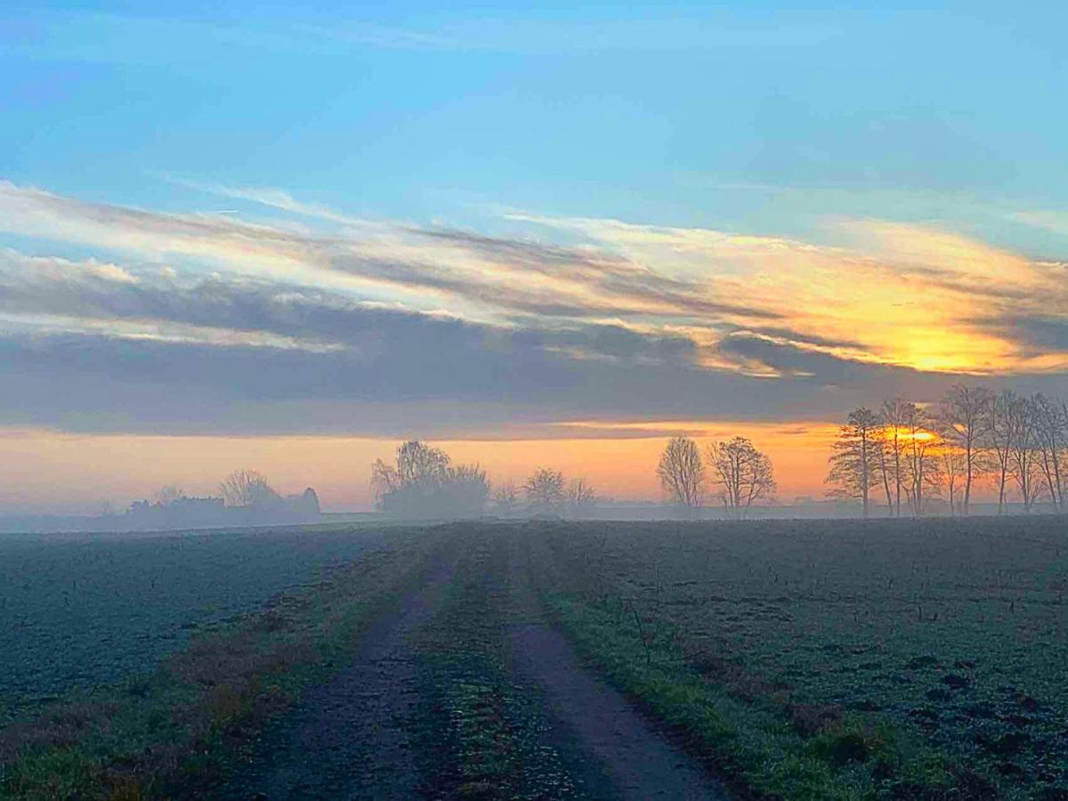 Vierseitenhof Hasenfelde - Ferienwohnung Feldblick Steinhofel Exteriör bild