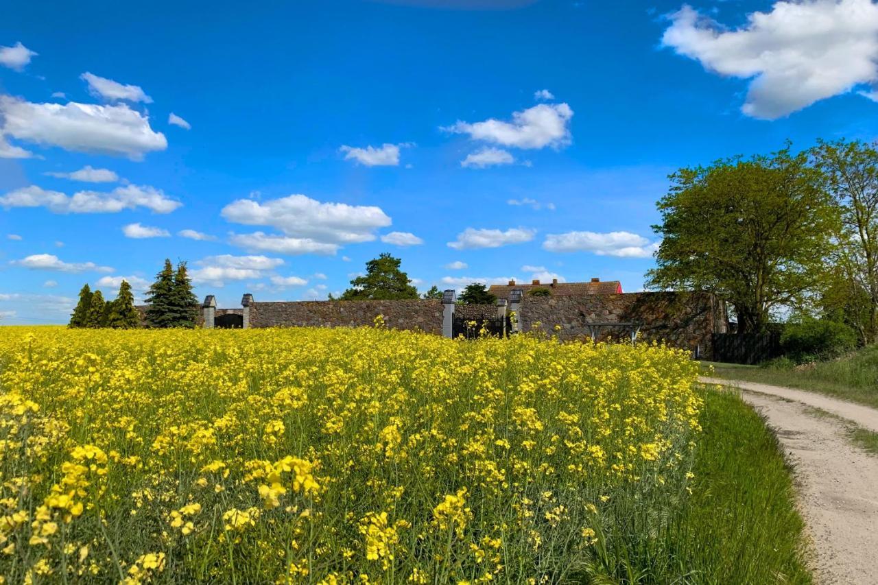 Vierseitenhof Hasenfelde - Ferienwohnung Feldblick Steinhofel Exteriör bild