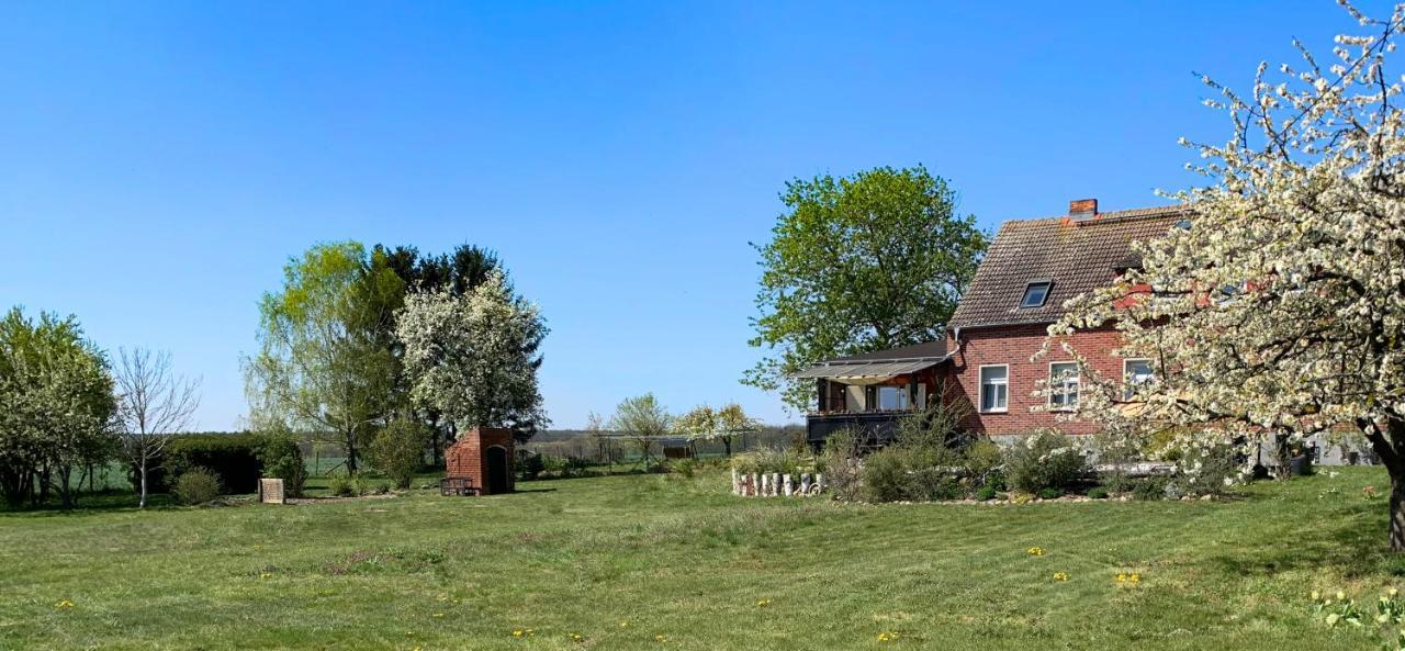 Vierseitenhof Hasenfelde - Ferienwohnung Feldblick Steinhofel Exteriör bild
