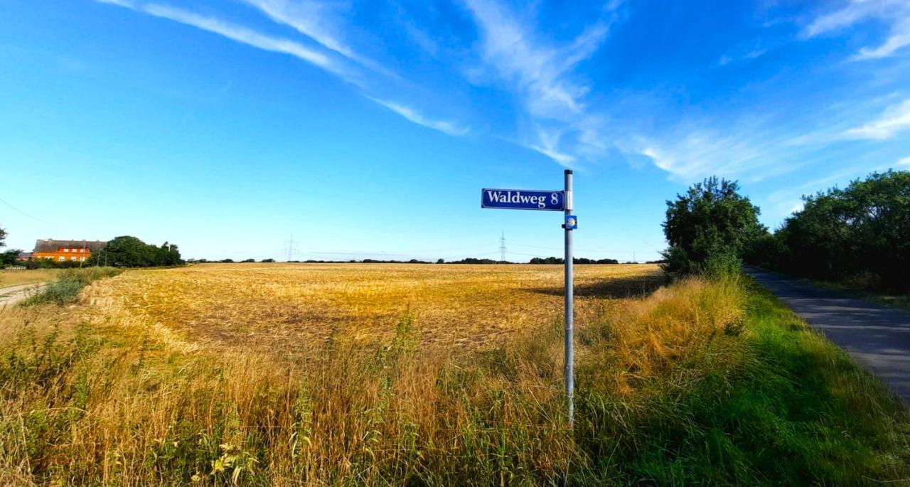 Vierseitenhof Hasenfelde - Ferienwohnung Feldblick Steinhofel Exteriör bild