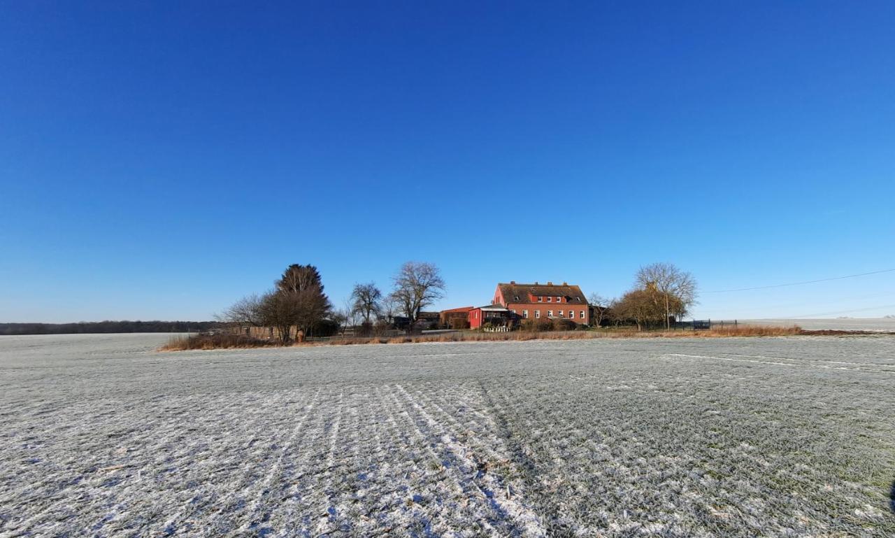 Vierseitenhof Hasenfelde - Ferienwohnung Feldblick Steinhofel Exteriör bild