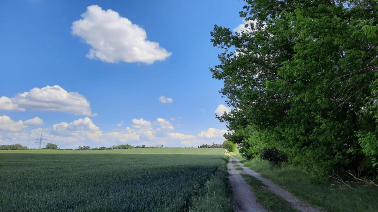 Vierseitenhof Hasenfelde - Ferienwohnung Feldblick Steinhofel Exteriör bild